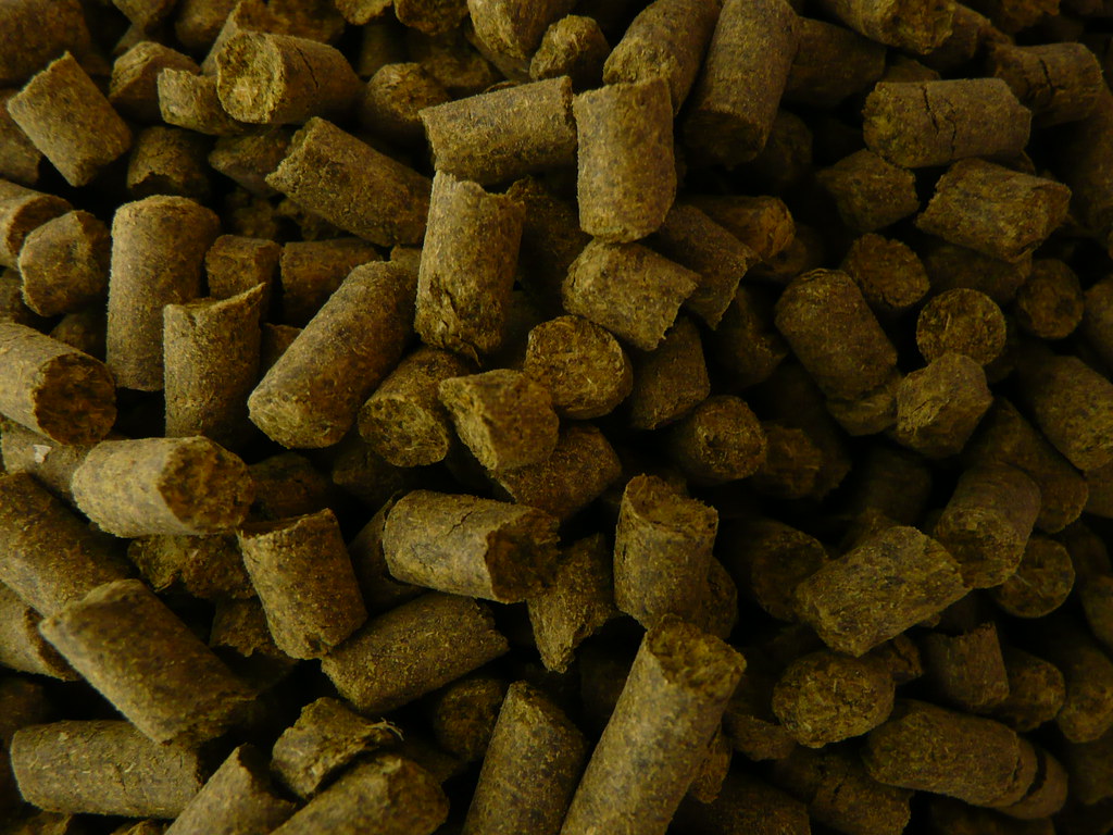 Hop pellets (T-90), the most common form — milled and compressed whole hops. They store and keep better than loose cones and give slightly higher utilisation.