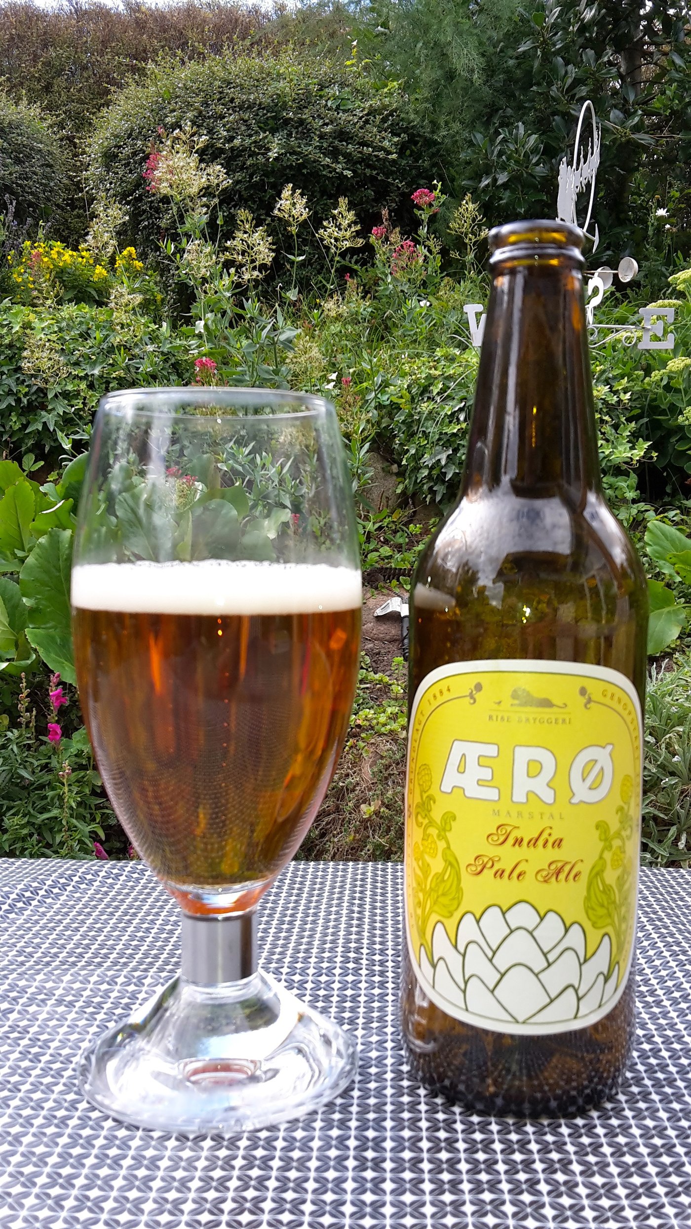 An India Pale Ale — the family that defines modern craft beer, built around assertive hop bitterness, flavour, and aroma.